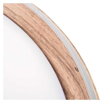 LED Stmívatelné stropní svítidlo ILVI LED/45W/230V 2700-6500K pr. 50 cm béžová + dálkové ovládání
