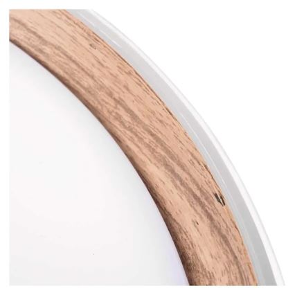 LED Stmívatelné stropní svítidlo ILVI LED/45W/230V 2700-6500K pr. 50 cm bílá/béžová + dálkové ovládání