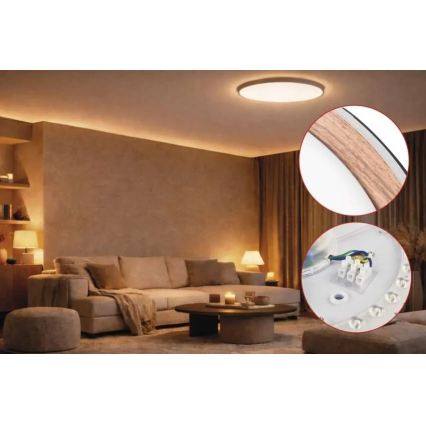 LED Stmívatelné stropní svítidlo ILVI LED/45W/230V 2700-6500K pr. 50 cm černá/béžová + dálkové ovládání