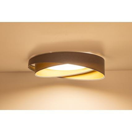 LED Stmívatelné stropní svítidlo SMART GALAXY MODERN LED/24W/230V 3000-6500K pr. 55 cm šedá/zlatá + dálkové ovládání