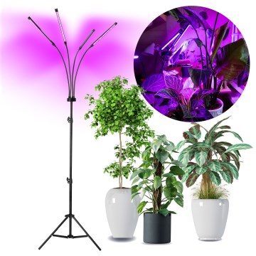 LED Stmívatelná flexibilní stojací lampa pro pěstování rostlin VITARO 4xLED/7,5W/230V černá