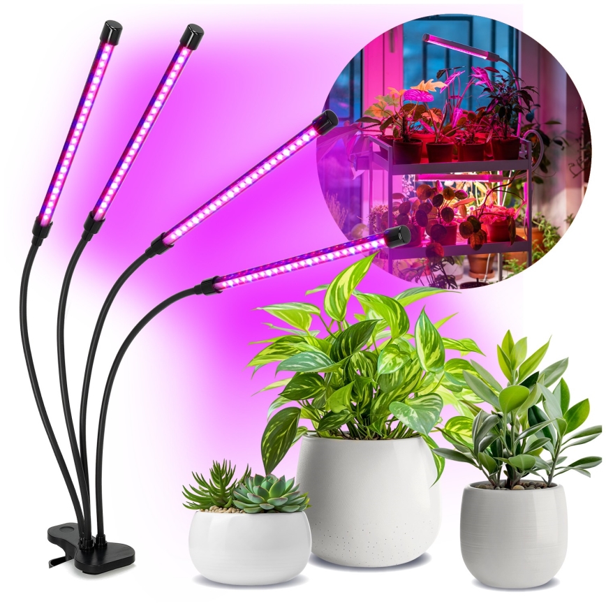 LED Stmívatelná flexibilní stolní lampa s klipem pro pěstování rostlin VITARO 4xLED/10W/230V černá