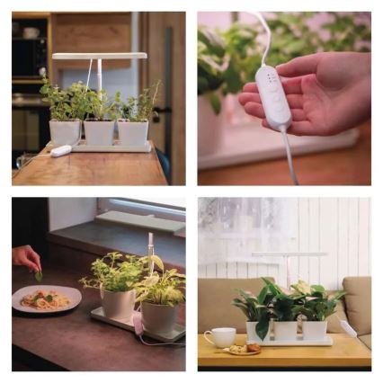 LED Stmívatelná interiérová lampa pro pěstování rostlin GROW LED/7W/5V