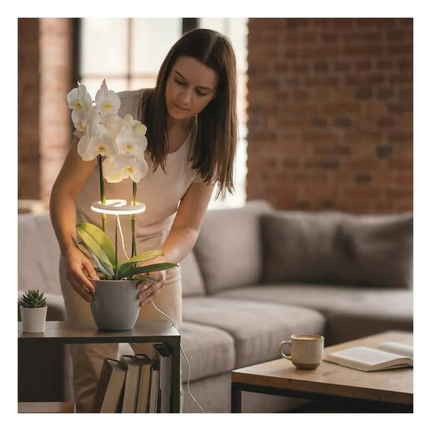 LED Stmívatelná interiérová lampa pro pěstování rostlin GROW LED/8W/5V