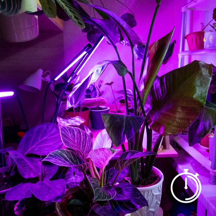 LED Stmívatelná flexibilní stolní lampa s klipem pro pěstování rostlin VITARO 3xLED/10W/230V černá