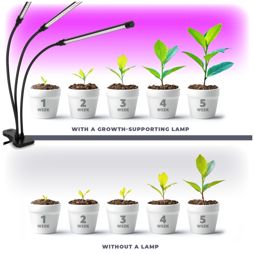 LED Stmívatelná flexibilní stolní lampa s klipem pro pěstování rostlin VITARO 3xLED/10W/230V černá