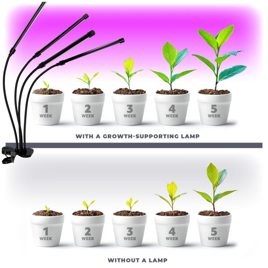 LED Stmívatelná flexibilní stolní lampa s klipem pro pěstování rostlin VITARO 4xLED/10W/230V černá