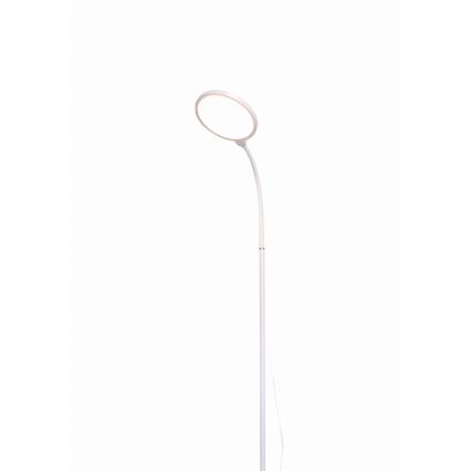 LED Stmívatelná stojací lampa 2v1 LED/10W/230V bílá