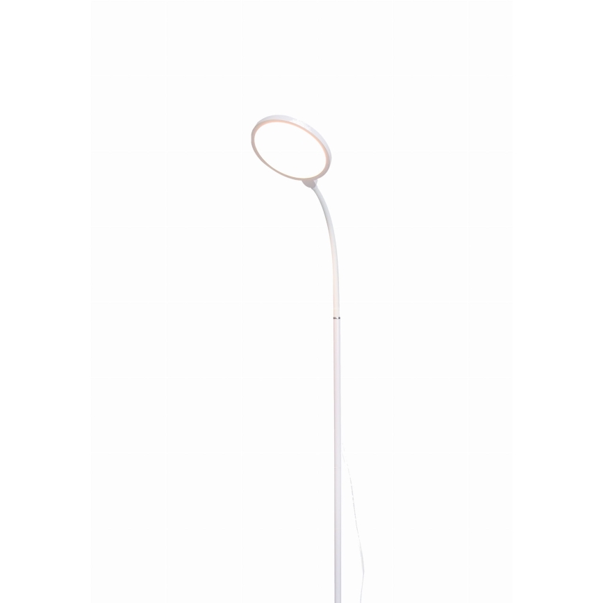 LED Stmívatelná stojací lampa 2v1 LED/10W/230V bílá