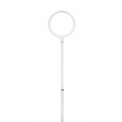 LED Stmívatelná stojací lampa 2v1 LED/10W/230V bílá