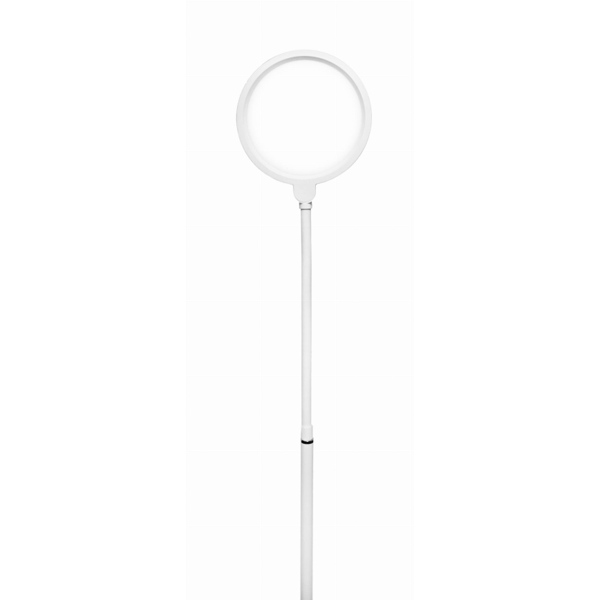 LED Stmívatelná stojací lampa 2v1 LED/10W/230V bílá
