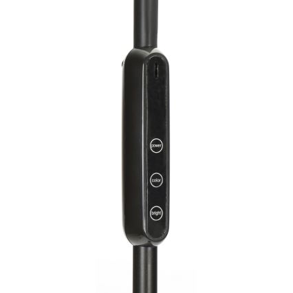 LED Stmívatelná stojací lampa LED/9W/230V 3000-6500K černá + dálkové ovládání