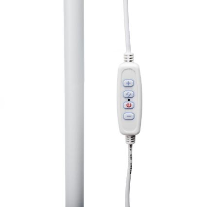 LED Stmívatelná stojací lampa SIGNUS LED/10W/230V 3000/4500/6500K bílá