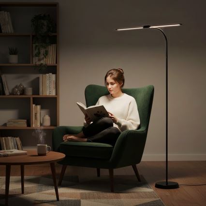 LED Stmívatelná stojací lampa TEILO LED/14W/230V 3000/4000/6000K černá