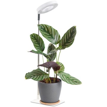 LED Stmívatelná stolní lampa pro pěstování rostlin VERDI LED/5W/5V 1300K CRI 95 bílá