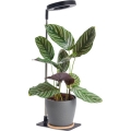 LED Stmívatelná stolní lampa pro pěstování rostlin VERDI LED/5W/5V 1300K CRI 95 černá