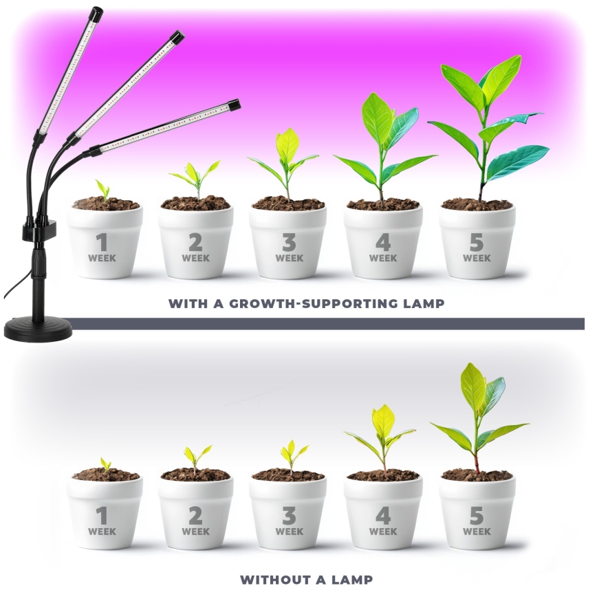 LED Stmívatelná flexibilní stolní lampa pro pěstování rostlin VITARO 3xLED/10W/230V černá
