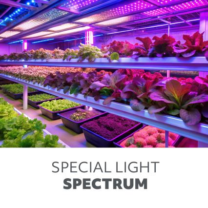 LED Stmívatelná flexibilní stolní lampa pro pěstování rostlin VITARO 3xLED/10W/230V černá