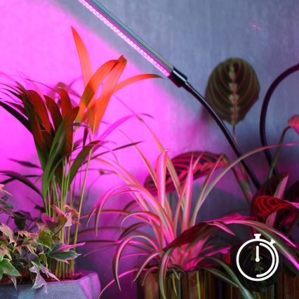 LED Stmívatelná flexibilní stolní lampa pro pěstování rostlin VITARO 4xLED/10W/230V černá