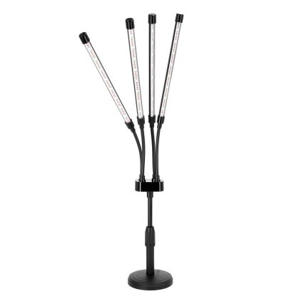 LED Stmívatelná flexibilní stolní lampa pro pěstování rostlin VITARO 4xLED/10W/230V černá