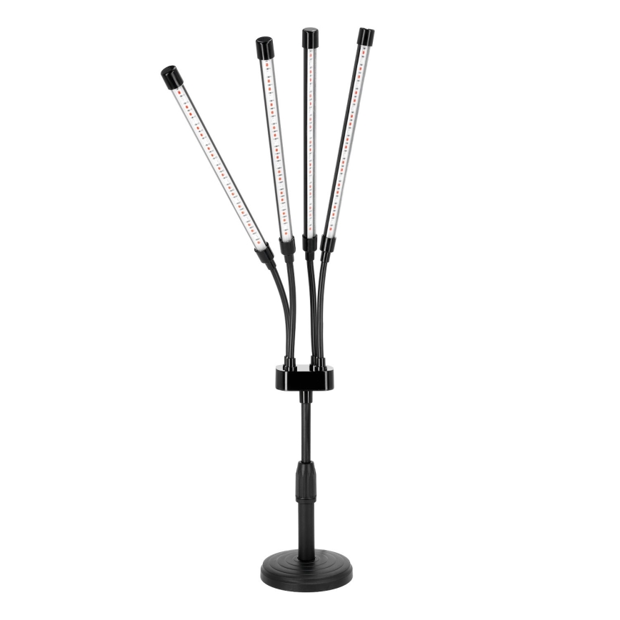 LED Stmívatelná flexibilní stolní lampa pro pěstování rostlin VITARO 4xLED/10W/230V černá