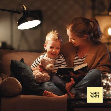 LED Stmívatelná žárovka A60 E27/10,5W/230V 2700K