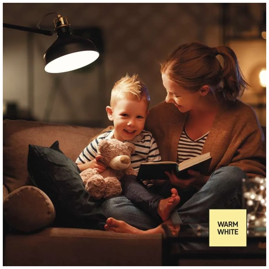 LED Stmívatelná žárovka A60 E27/10,5W/230V 2700K