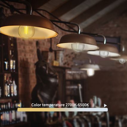 LED Stmívatelná žárovka FILAMENT G45 E27/4,5W/230V 2700-6500K Wi-Fi - Aigostar