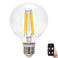 LED Stmívatelná žárovka FILAMENT MESH Smart G80 E27/6W/230V 2700-6500K - Aigostar