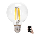 LED Stmívatelná žárovka FILAMENT MESH Smart G95 E27/6W/230V 2700-6500K - Aigostar
