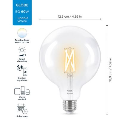 LED Stmívatelná žárovka FILAMENT G125 E27/7W/230V 2700-6500K CRI 90 Wi-Fi - WiZ