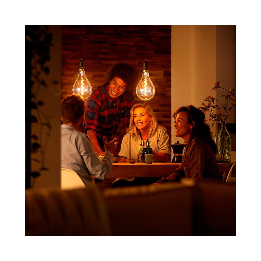 LED Stmívatelná žárovka VINTAGE DYI E27/4W/230V 2700K - Leuchten Direkt 0846