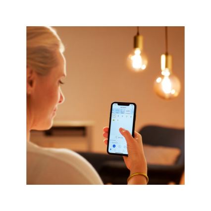 LED Stmívatelná žárovka VINTAGE FILAMENT G95 E27/6,7W/230V 2000-5000K CRI 90 Wi-Fi - WiZ