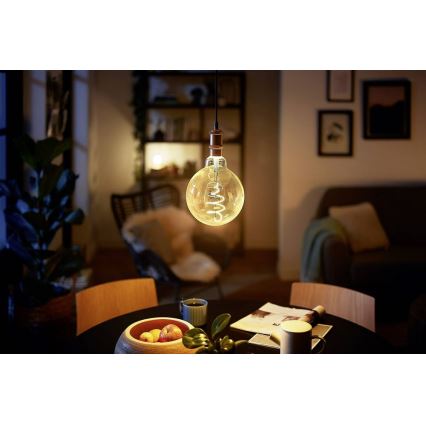 LED Stmívatelná žárovka VINTAGE Philips G200 E27/7W/230V 2000K