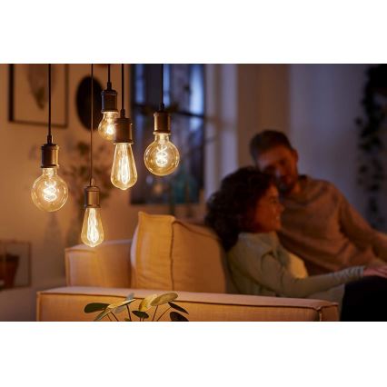 LED Stmívatelná žárovka VINTAGE Philips G93 E27/4W/230V 1800K