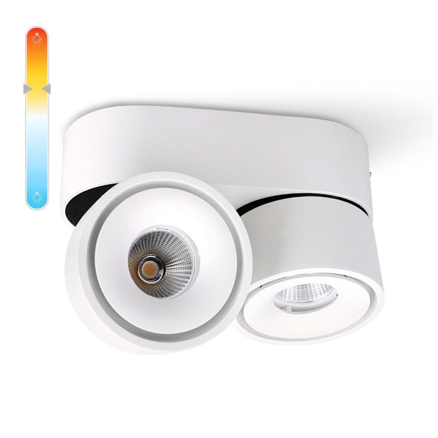 LED Stmívatelné bodové svítidlo LAHTI MINI 2xLED/9W/230V 3000K CRI 90 bílá