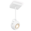 LED Stmívatelné bodové svítidlo NOP 1xGU10/5,8W/230V bílá