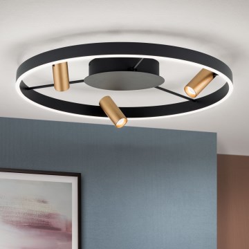 LED Stmívatelné stropní svítidlo BERLIN LED/50W/230V černá/zlatá