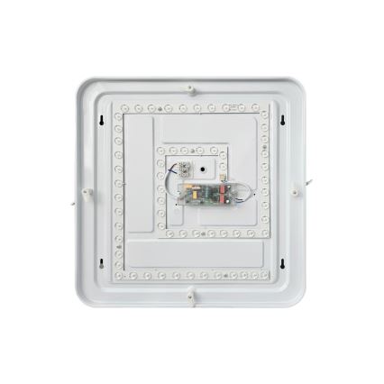 LED Stmívatelné stropní svítidlo FLORA LED/36W/230V 2700-6500K 43x43 cm + dálkové ovládání