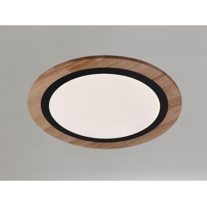 LED Stmívatelné stropní svítidlo LED/25W/230V 3000-6500K + dálkové ovládání