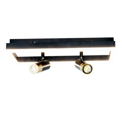 LED Stmívatelné stropní svítidlo LED/50W/230V 3000-6500K černá + dálkové ovládání