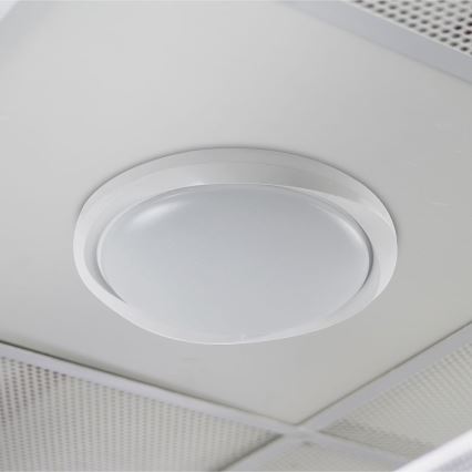 LED Stmívatelné stropní svítidlo LED/60W/230V 3000-6500K 49,2 cm bílá + dálkové ovládání