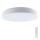 LED Stmívatelné stropní svítidlo LED/60W/230V 3000-6500K 49,5 cm bílá + dálkové ovládání
