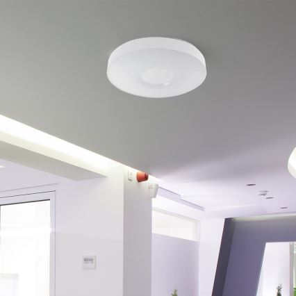 LED Stmívatelné stropní svítidlo LED/60W/230V 3000-6500K 49,5 cm bílá + dálkové ovládání