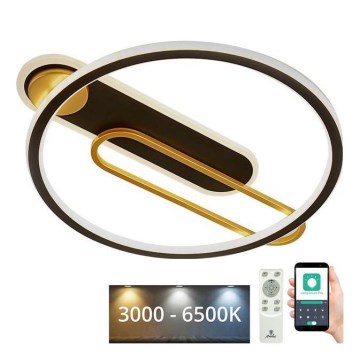 LED Stmívatelné stropní svítidlo LED/60W/230V 3000-6500K černá + dálkové ovládání