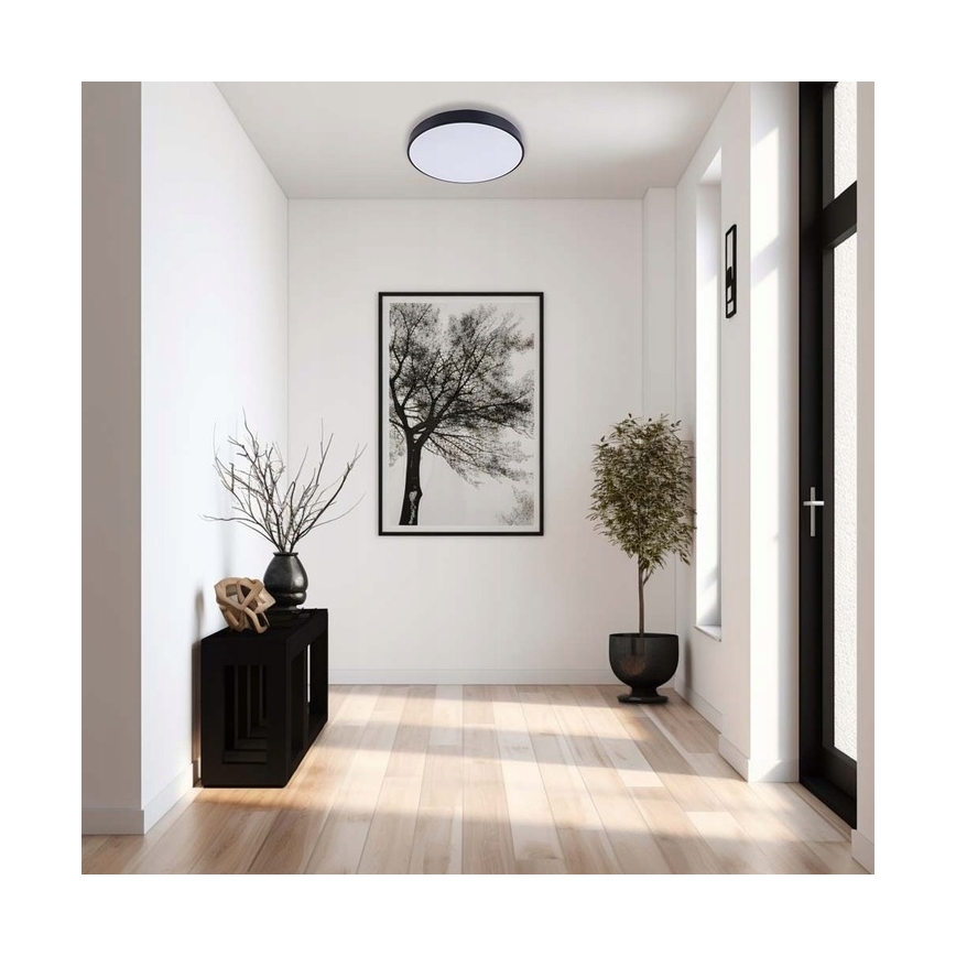 LED Stmívatelné stropní svítidlo LED/60W/230V 3000-6500K pr. 60 cm černá + dálkové ovládání