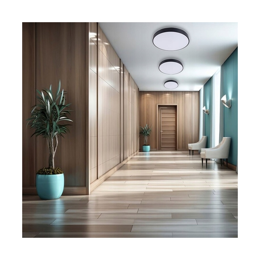 LED Stmívatelné stropní svítidlo LED/60W/230V 3000-6500K pr. 60 cm černá + dálkové ovládání