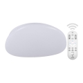 LED Stmívatelné stropní svítidlo LED/60W/230V + dálkové ovládání 