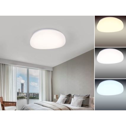 Nedes LC802K - LED Stmívatelné stropní svítidlo LED/60W/230V