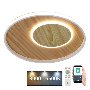 LED Stmívatelné stropní svítidlo LED/65W/230V 3000-6500K hnědá +dálkové ovládání